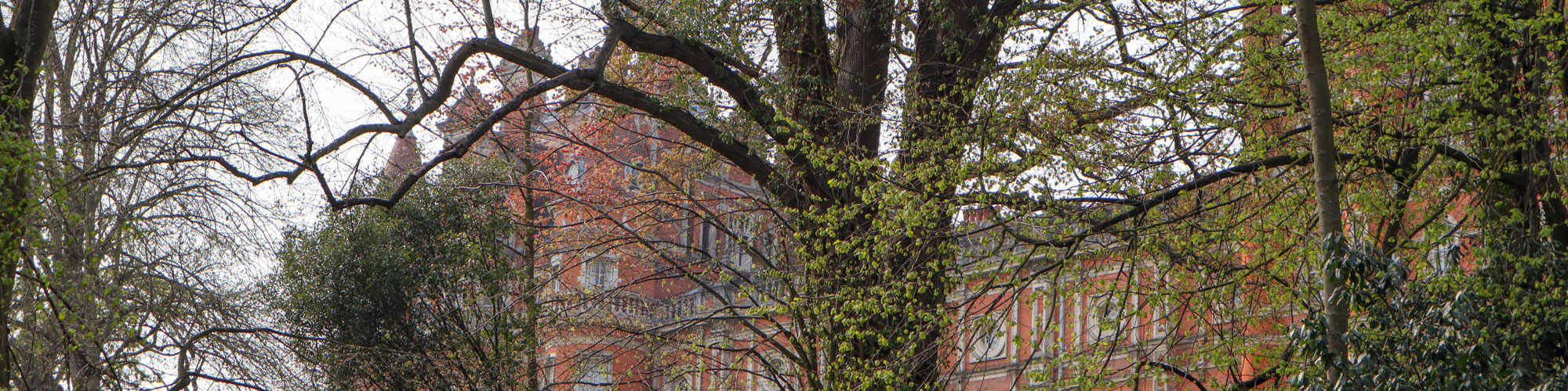 Flowers-of-campus-(31-of-39)-20000x500