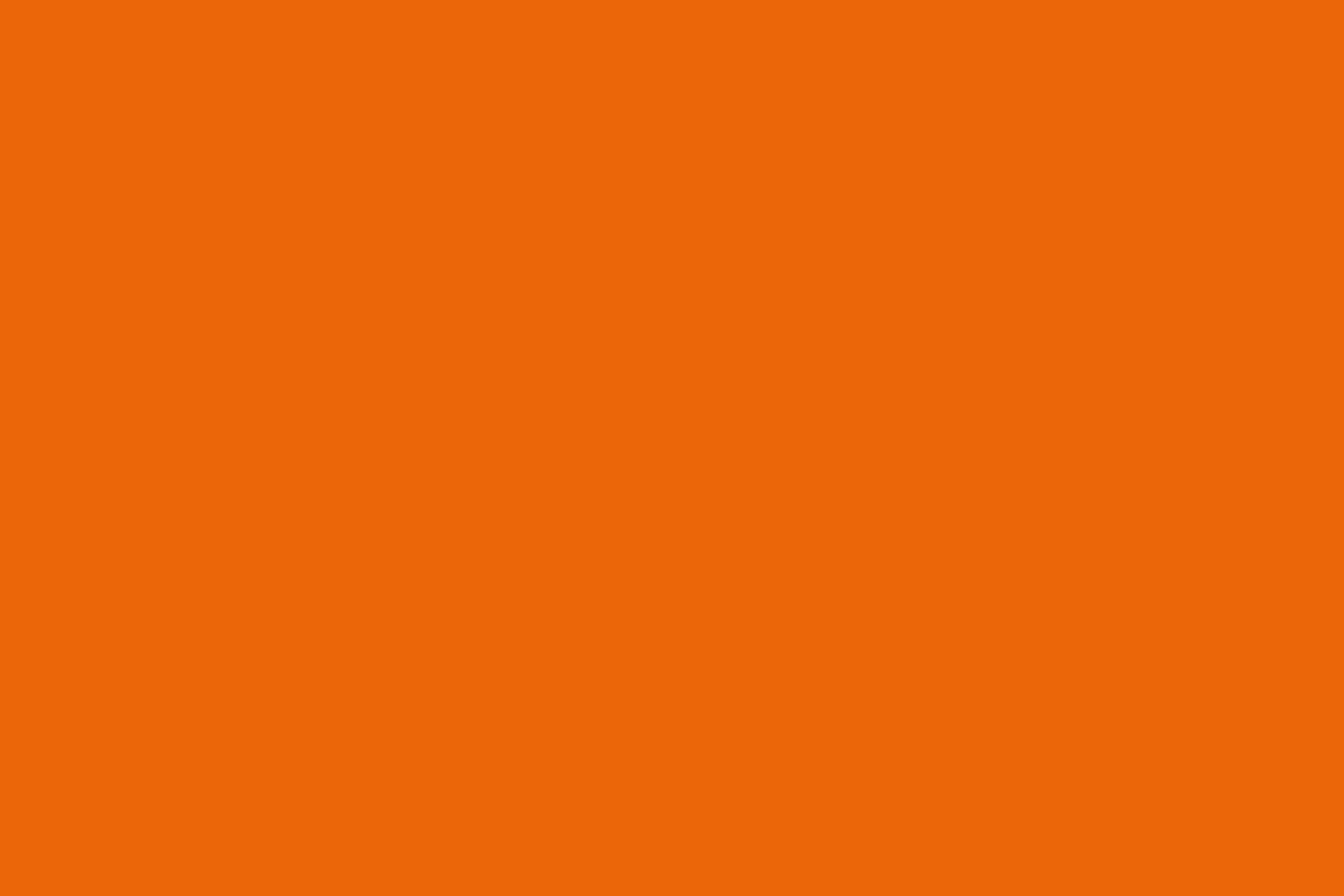 Your Career Starts Here orange