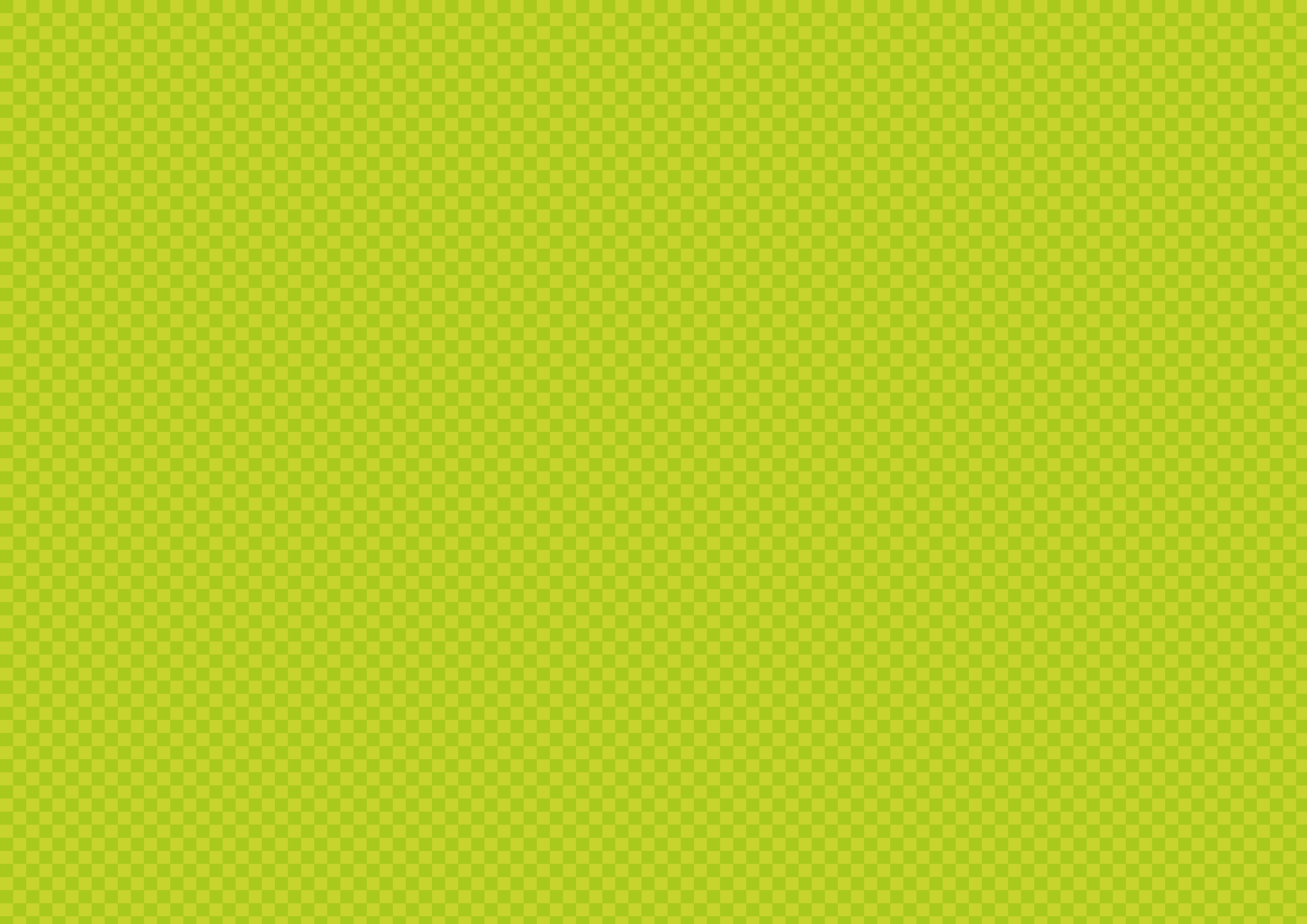 A4 L check Light green