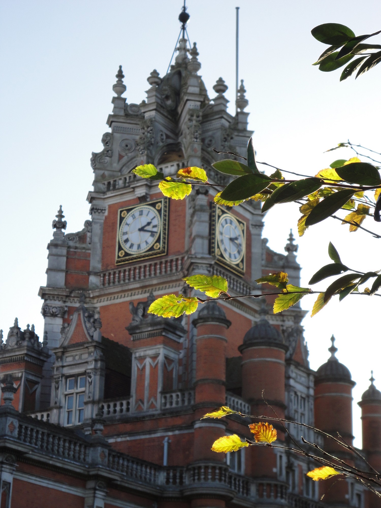Founder's Clocktower framed by leaves